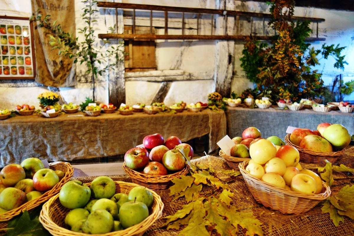Obstkörbe werden beim Mostfest im Freilichtmuseum Beuren ausgestellt