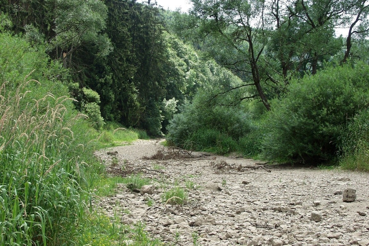 Donauversickerung