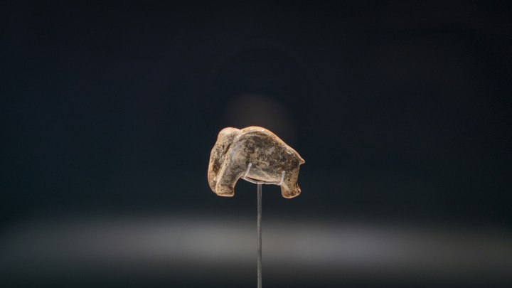 Das Mammut aus der Vogelherd-Höhle