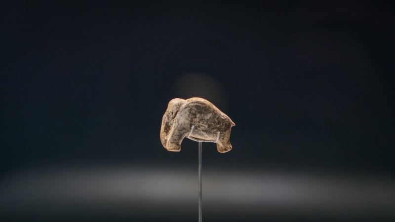 Das Mammut aus der Vogelherd-Höhle