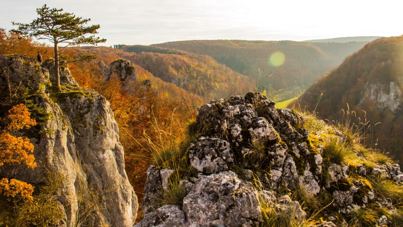 Indian Summer im Roggental