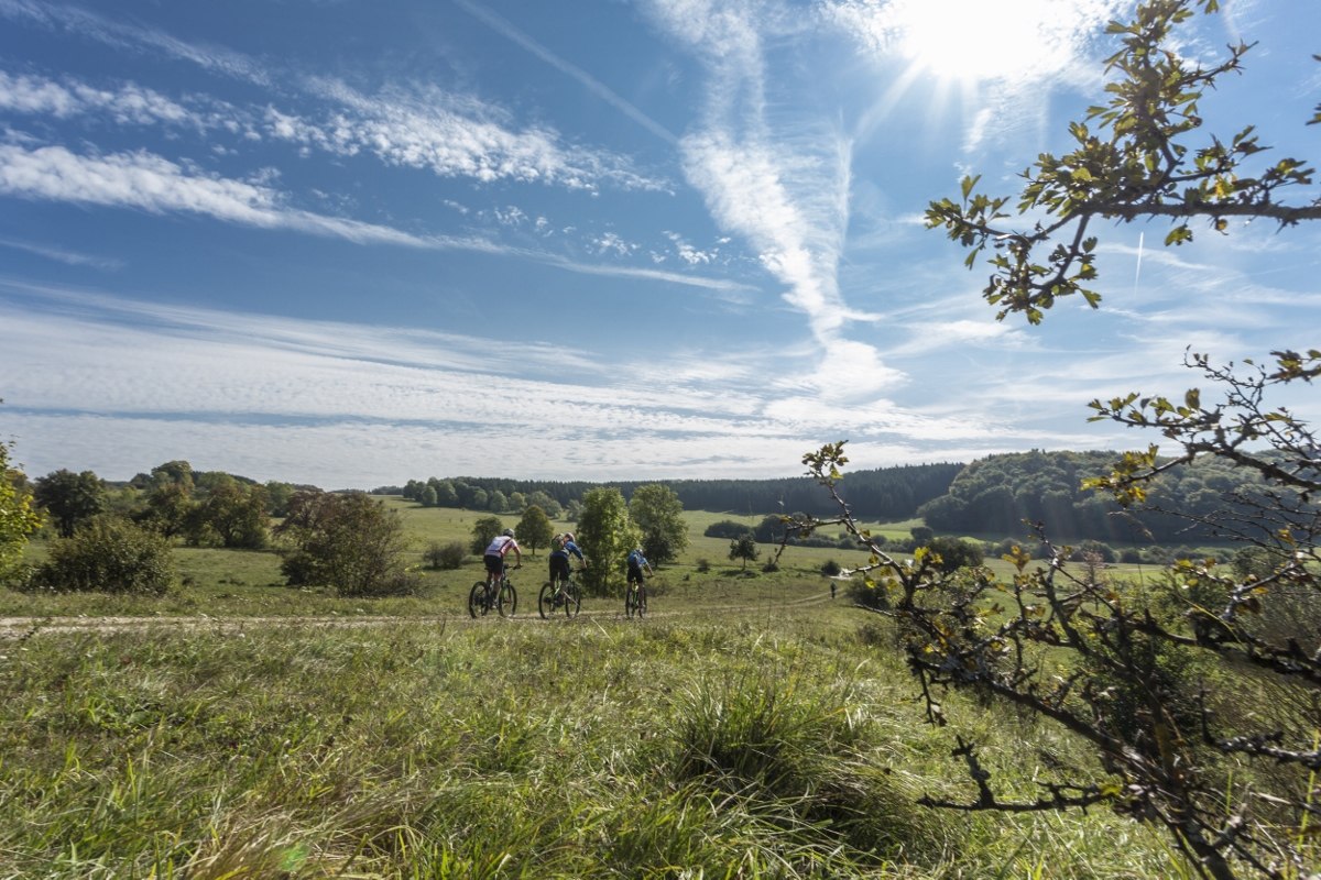 Radeln durch die Wacholderlandschaft im Biosphärengebiet bei Münsingen