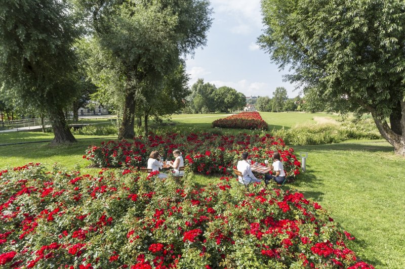 Im Heidenheimer Brenzpark mit Blick auf Schloss Hellenstein