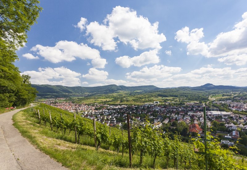 Blick auf Metzingen-Neuhausen und die Schwäbische Alb