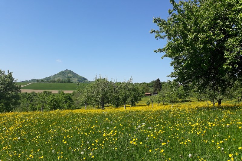 Blick auf die Achalm bei Reutlingen