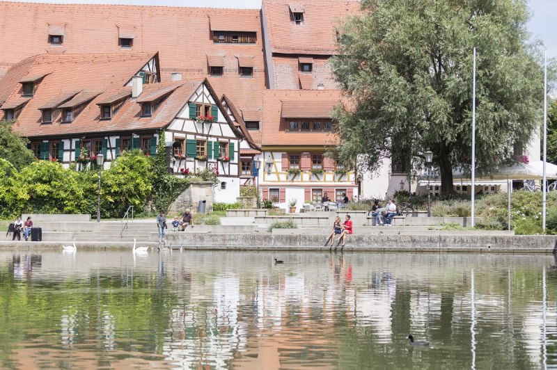 Blick auf den Neckar und Nepomukhaus