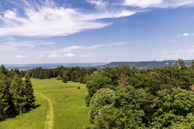 Ausblick vom Raichbergturm