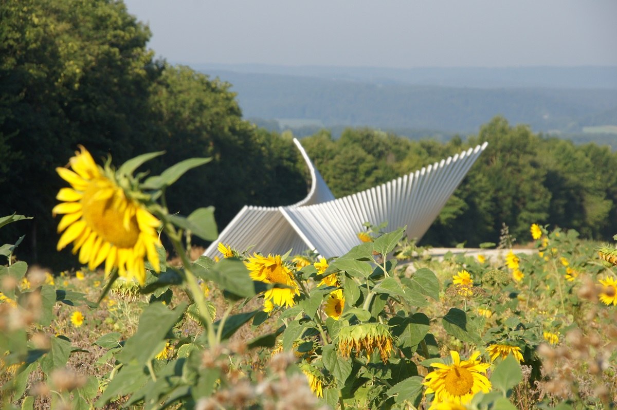 Blick auf den Besinnungsweg mit Sonnenblume