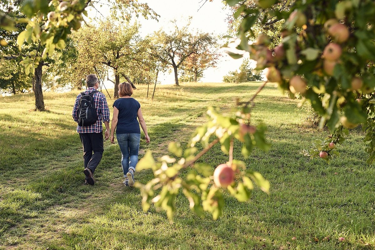 Zwei Wanderer wandern über die Streuobstwiesen am Früchtetrauf