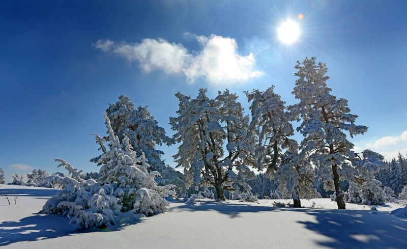 Winterwanderweg Schneewalzer bei Albstadt